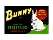 logo_bunny_brand